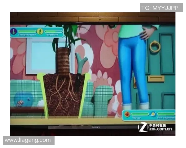 足球星卡收藏趋势与品种价值探讨及未来发展方向分析